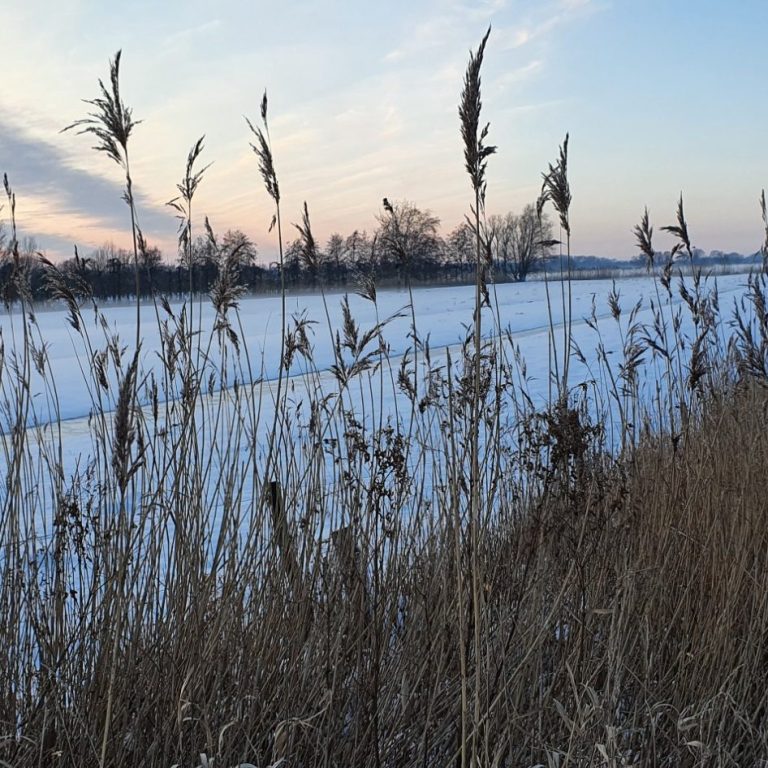 Blick in die Feldmark Der Garten ist noch in der Gestaltung